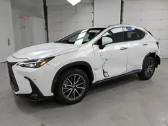 2T2GGCEZ4SC082564 2025 LEXUS NX