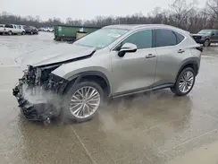 2T2GGCEZ4SC083889 2025 LEXUS NX
