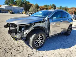 2T2GGCEZ5PC017696 2023 LEXUS NX