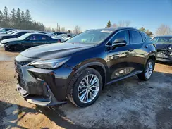 2T2GGCEZ5PC022073 2023 LEXUS NX