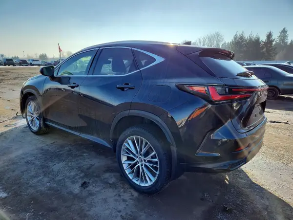 2T2GGCEZ5PC022073 2023 LEXUS NX - Image 2