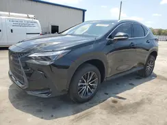 2T2GGCEZ5PC031095 2023 LEXUS NX