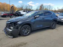 2T2GGCEZ5RC033500 2024 LEXUS NX