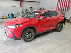 2T2GGCEZ5RC043475 2024 LEXUS NX