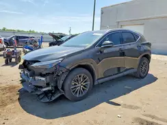 2T2GGCEZ5RC049082 2024 LEXUS NX