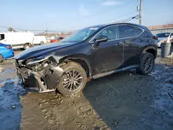 2T2GGCEZ5RC054752 2024 LEXUS NX