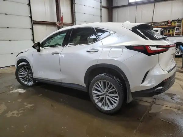 2T2GGCEZ5RC057120 2024 LEXUS NX - Image 2