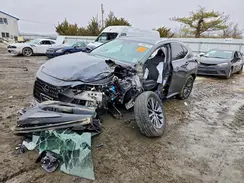 2T2GGCEZ5SC079026 2025 LEXUS NX