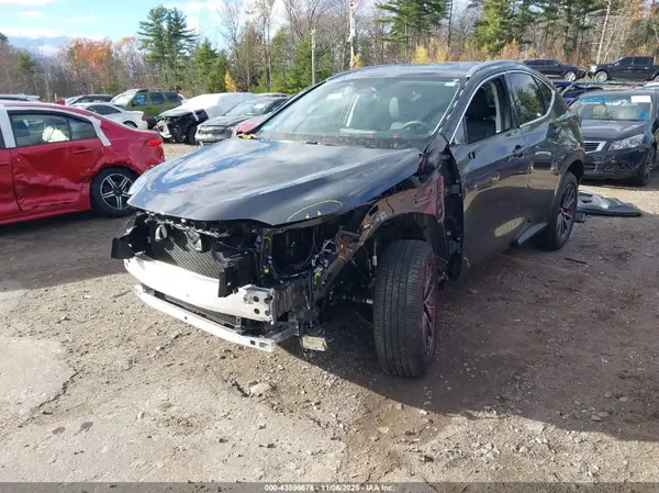 2T2GGCEZ5SC091872 2025 LEXUS NX - Image 2