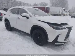 2T2GGCEZ6PC021479 2023 LEXUS NX