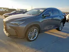 2T2GGCEZ6PC023331 2023 LEXUS NX