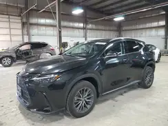 2T2GGCEZ6PC027010 2023 LEXUS NX