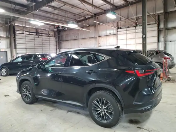 2T2GGCEZ6PC027010 2023 LEXUS NX - Image 2