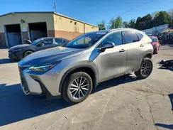 2T2GGCEZ6PC029131 2023 LEXUS NX