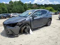 2T2GGCEZ6RC036809 2024 LEXUS NX