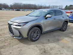 2T2GGCEZ6RC044232 2024 LEXUS NX
