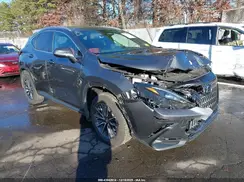 2T2GGCEZ6RC057238 2024 LEXUS NX