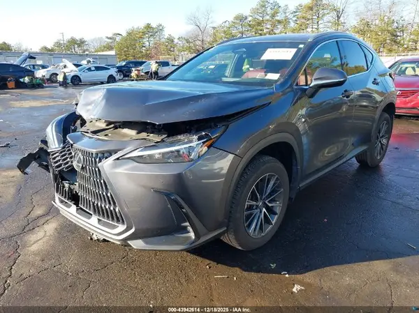 2T2GGCEZ6RC057238 2024 LEXUS NX - Image 2