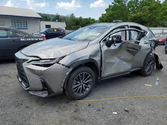 2T2GGCEZ6SC075891 2025 LEXUS NX