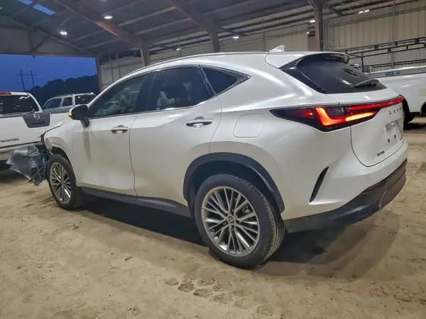 2T2GGCEZ6SC087524 2025 LEXUS NX - Image 2