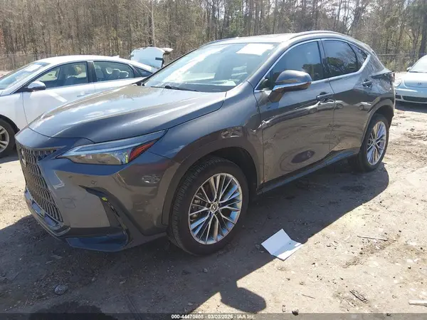 2T2GGCEZ7NC005885 2022 LEXUS NX - Image 2