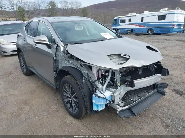 2T2GGCEZ7RC059449 2024 LEXUS NX - Image 1