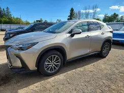 2T2GGCEZ7SC071302 2025 LEXUS NX