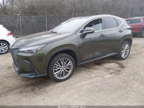 2T2GGCEZ7SC076290 2025 LEXUS NX - Image 2