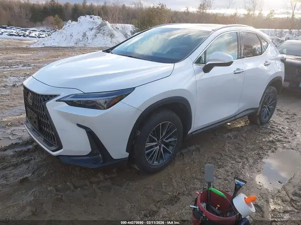 2T2GGCEZ7SC077861 2025 LEXUS NX - Image 2
