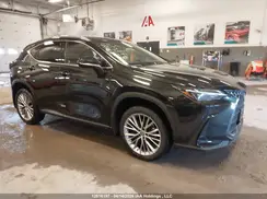 2T2GGCEZ8PC020768 2023 LEXUS NX