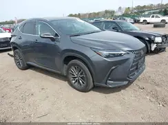 2T2GGCEZ8PC024142 2023 LEXUS NX