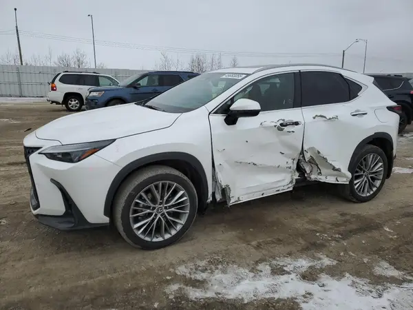 2T2GGCEZ8PC026876 2023 LEXUS NX - Image 1