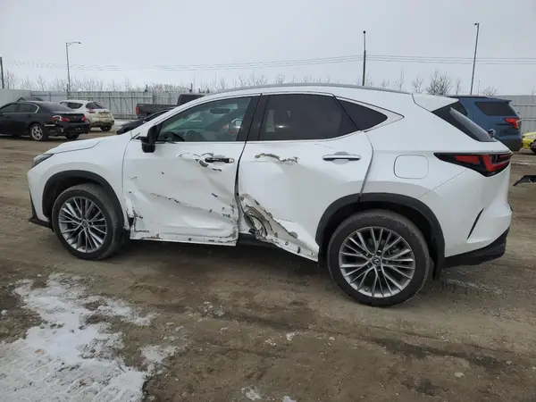 2T2GGCEZ8PC026876 2023 LEXUS NX - Image 2