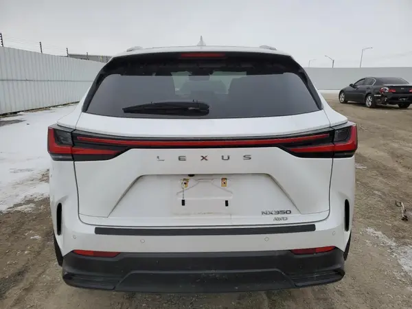 2023 LEXUS NX auction photo 6
