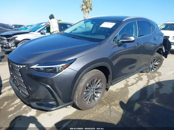 2T2GGCEZ8SC074984 2025 LEXUS NX - Image 2