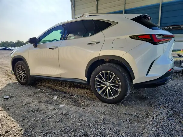 2T2GGCEZ8SC077254 2025 LEXUS NX - Image 2
