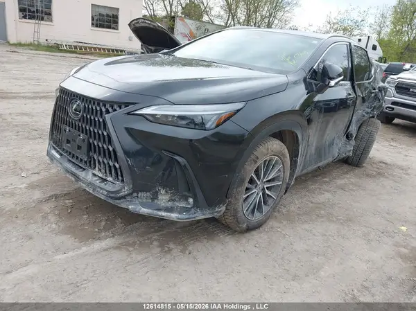 2T2GGCEZ8SC084706 2025 LEXUS NX - Image 2