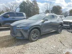 2T2GGCEZ8SC087301 2025 LEXUS NX