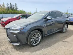 2T2GGCEZ8TC096887 2026 LEXUS NX