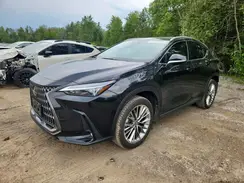 2T2GGCEZ8TC097053 2026 LEXUS NX
