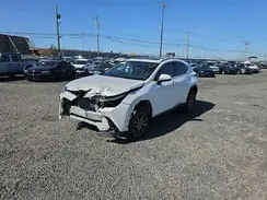 2T2GGCEZ9RC049053 2024 LEXUS NX