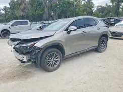 2T2GGCEZ9RC050056 2024 LEXUS NX
