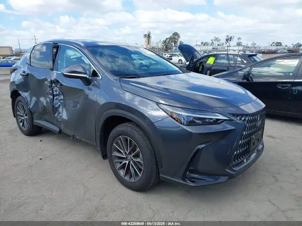 2T2GGCEZ9SC080938 2025 LEXUS NX - Image 1