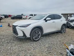 2T2GGCEZXNC003631 2022 LEXUS NX