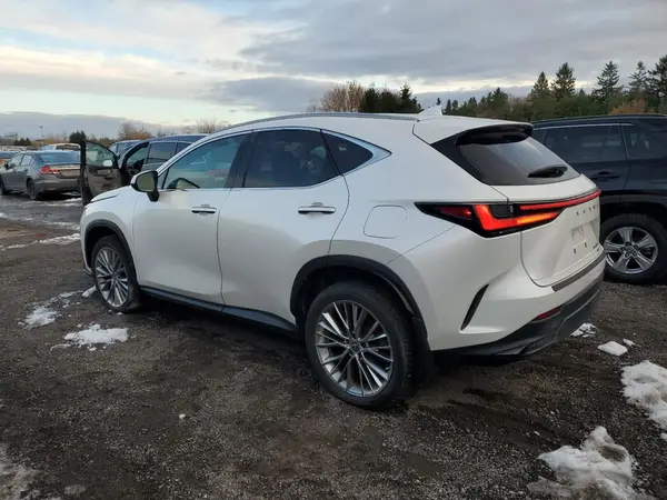 2T2GGCEZXNC005671 2022 LEXUS NX - Image 2