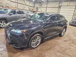 2T2GGCEZXPC031335 2023 LEXUS NX