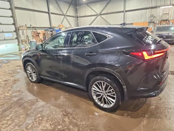 2T2GGCEZXPC031335 2023 LEXUS NX - Image 2