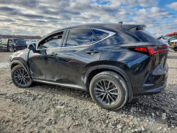 2T2GGCEZXRC036988 2024 LEXUS NX - Image 2