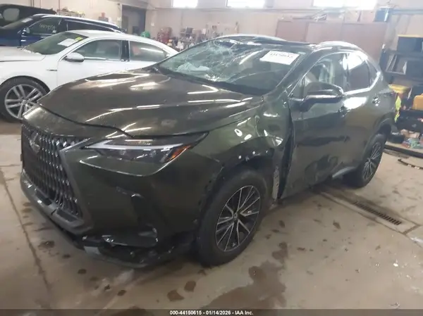 2T2GGCEZXRC037770 2024 LEXUS NX - Image 2
