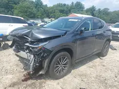 2T2GGCEZXRC039518 2024 LEXUS NX